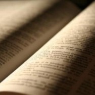 Nuevos cursos en Adulam